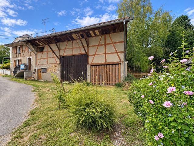 Maison vente à Seppois-le-Bas, Collectivité européenne d'Alsace