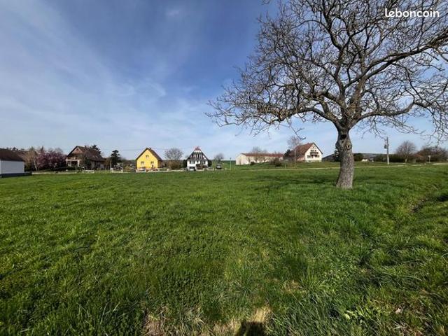 Maison vente à Schwenheim, Collectivité européenne d'Alsace