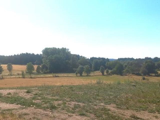 Maison vente à Yssingeaux, Lapte