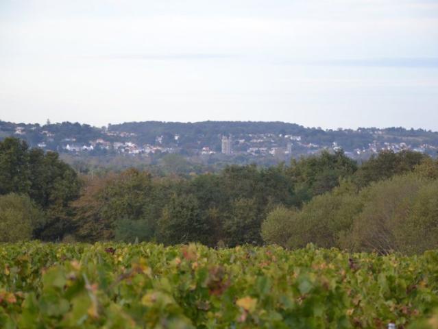 Maison vente à Cholet, Champtoceaux