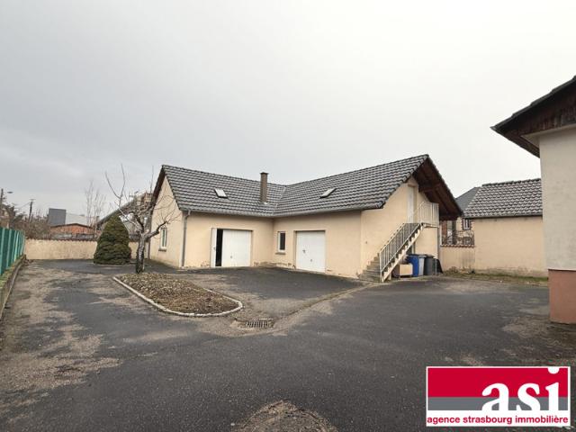 Maison vente à Haguenau-Wissembourg, Seltz