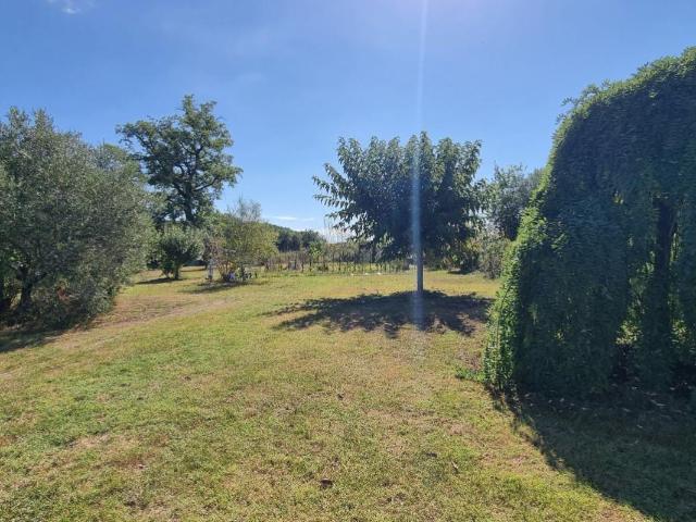 Maison vente à Toulouse, Montastruc-la-conseillère