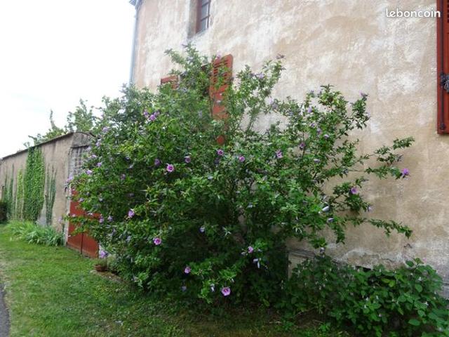 Maison vente à Chalon-sur-Saône, Sampigny-lès-maranges