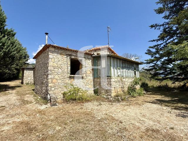 Maison vente à Vienne, Cour-et-buis