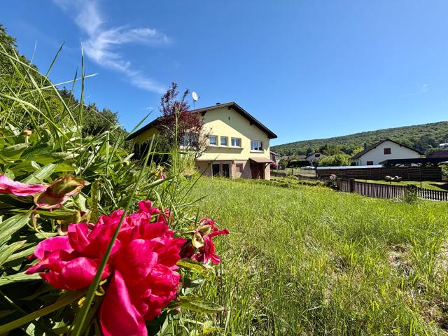 Maison vente à Thann-Guebwiller, Lautenbach