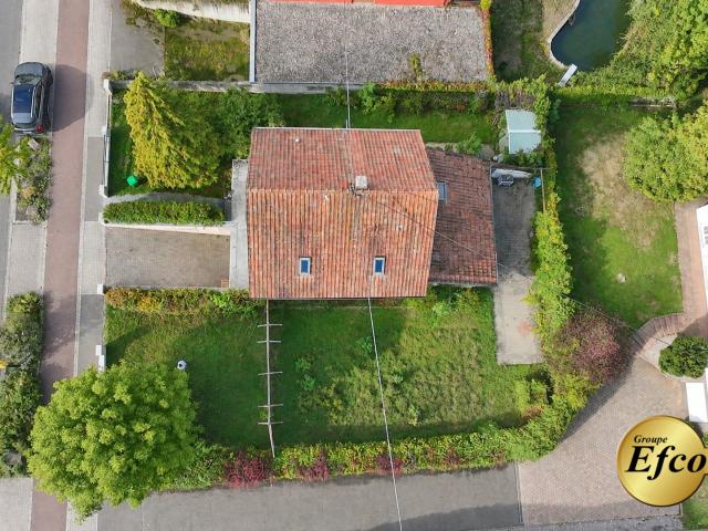 Maison vente à Blotzheim, Collectivité européenne d'Alsace