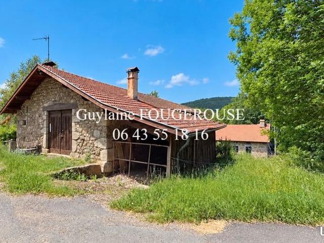 Maison vente à Saint-Anthème, Puy-de-Dôme