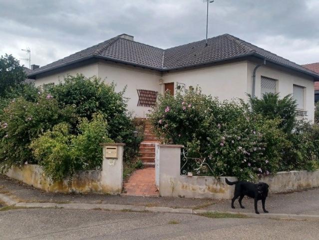 Maison vente à Wettolsheim, Collectivité européenne d'Alsace