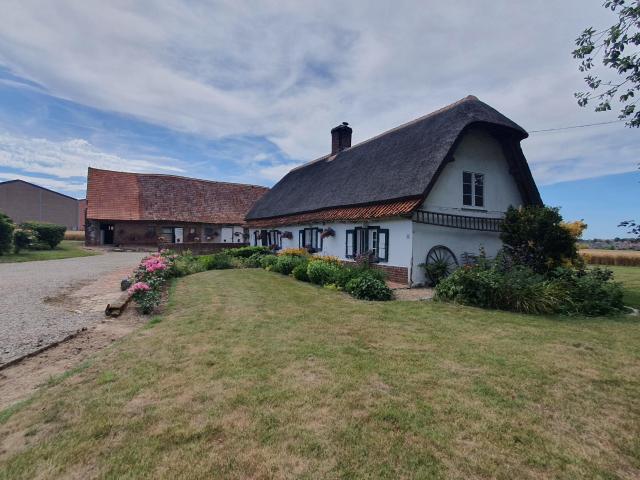 Maison vente à Dunkerque, Morbecque