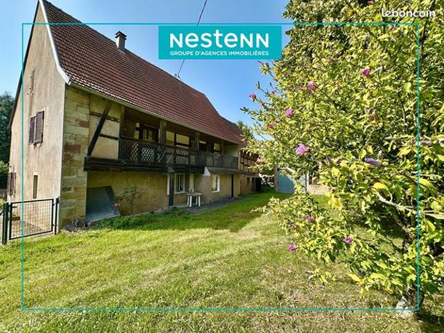 Maison vente à Saverne, Struth