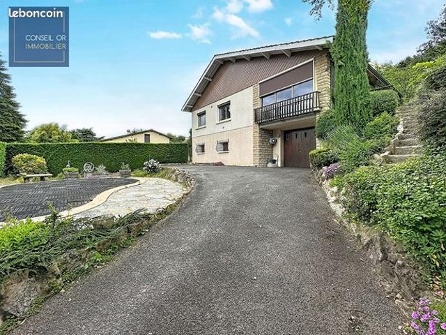 Maison vente à Lyon, Métropole de Lyon