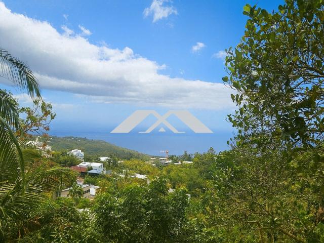 Maison vente à La Réunion