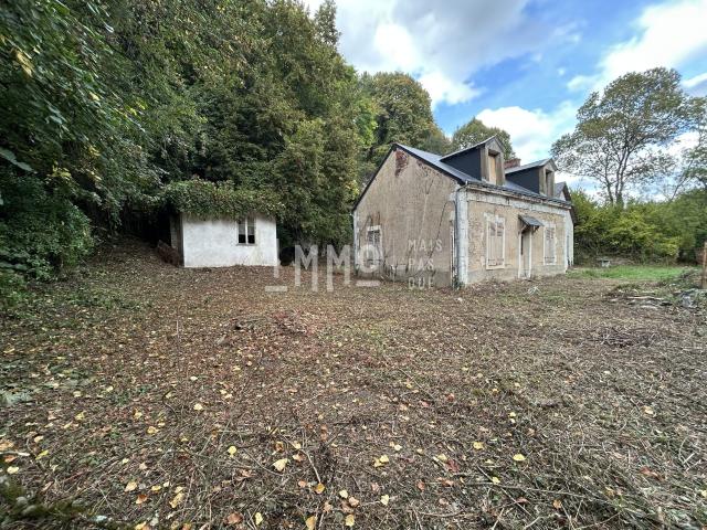 Maison vente à La Richardière, Flée