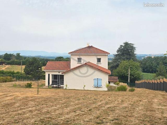 Maison vente à Vienne, Viriville