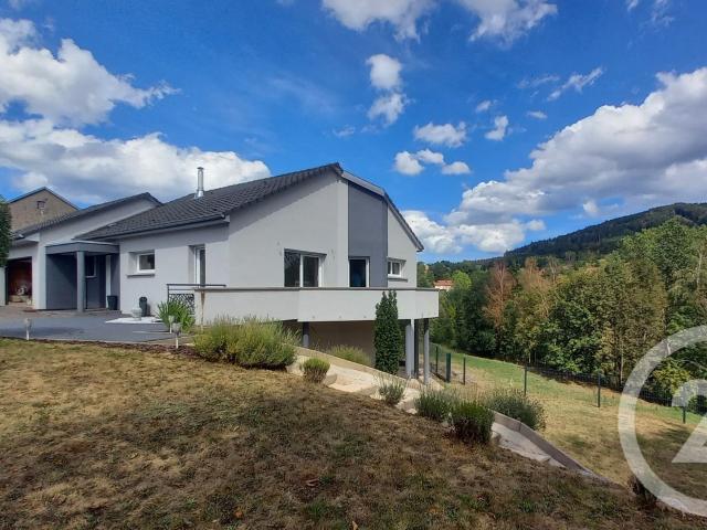 Maison vente à Ménil-de-Senones, Vosges
