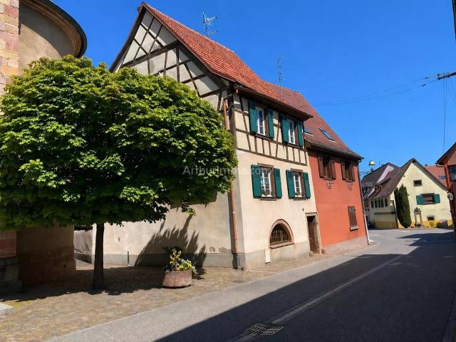 Maison vente à Colmar-Ribeauvillé, Wettolsheim