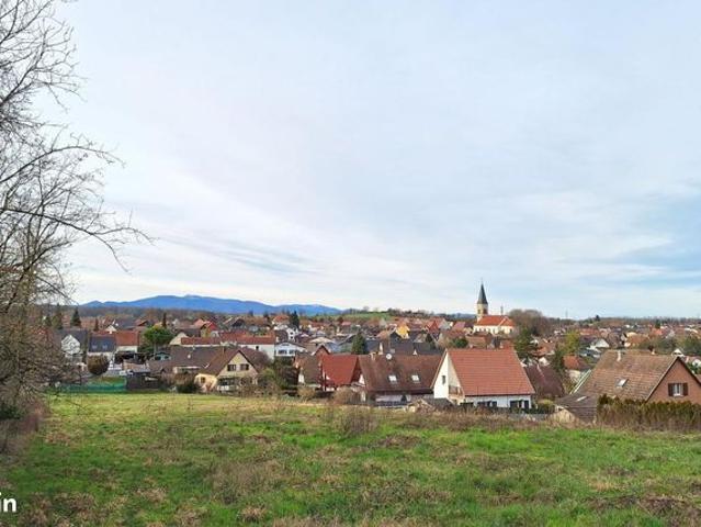 Maison vente à Altkirch, Hochstatt