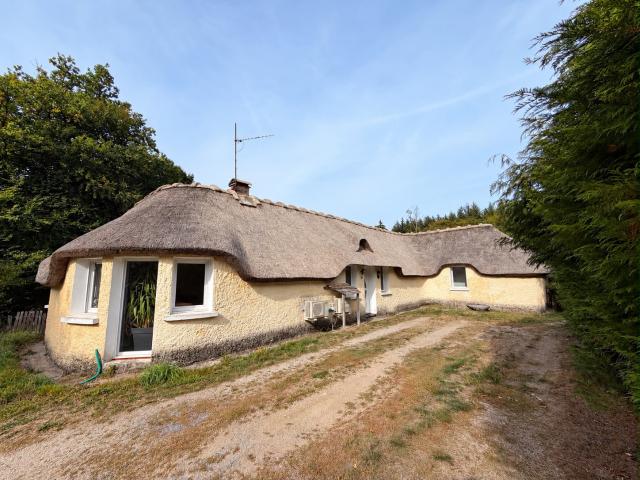 Maison vente à Lavaur, Meymac