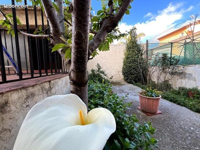 Maison vente à Perpignan, Pézilla-la-rivière