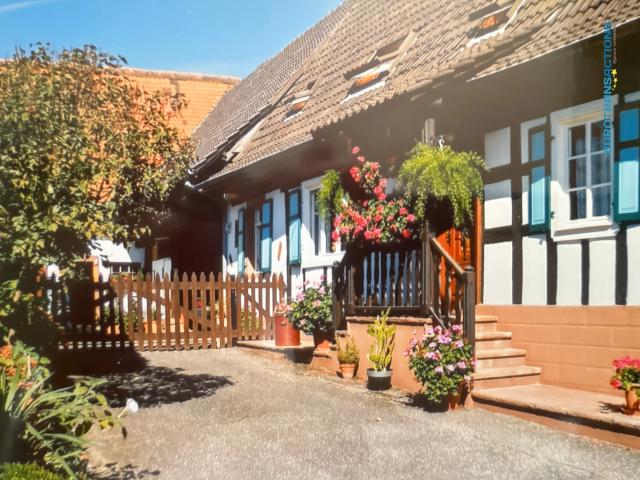 Maison vente à Haguenau-Wissembourg, Neewiller-près-lauterbourg