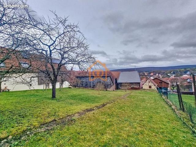 Maison vente à Molsheim, Romanswiller
