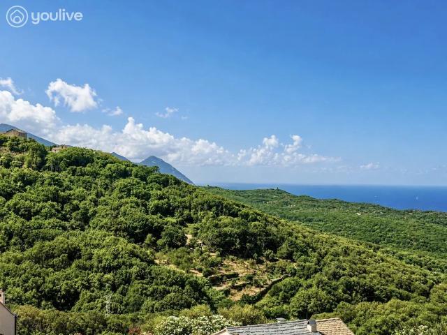 Maison vente à Bastia, Centuri