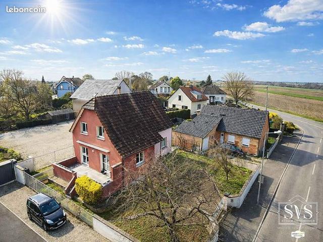 Maison vente à Colmar-Ribeauvillé, Volgelsheim