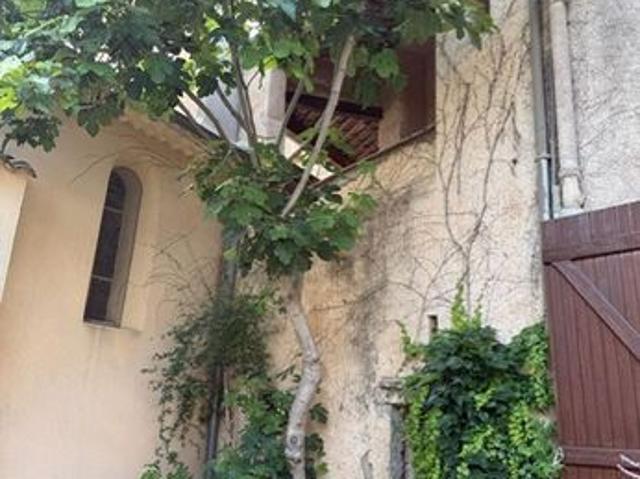 Maison vente à Lodève, Arboras