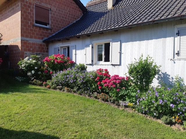 Maison vente à Haguenau-Wissembourg, Siegen