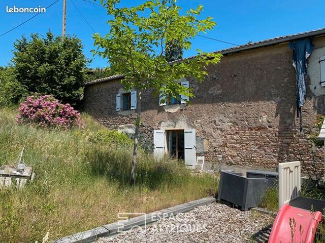 Maison vente à Mâcon, Leynes