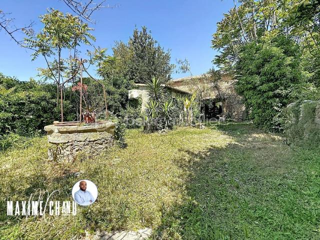 Maison vente à Montpellier, Cournonterral