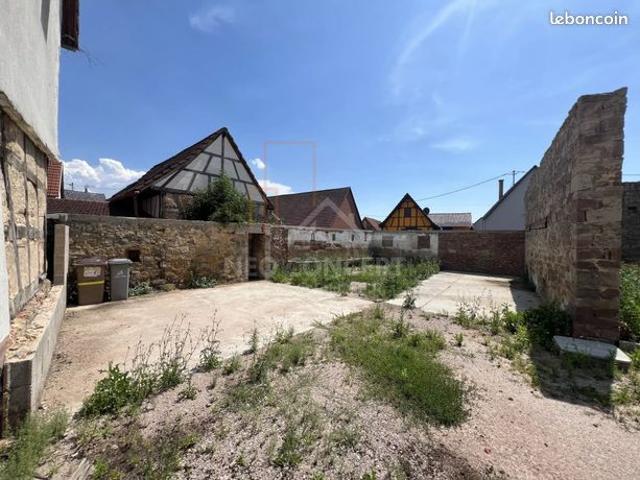 Maison vente à Haguenau-Wissembourg, Mommenheim