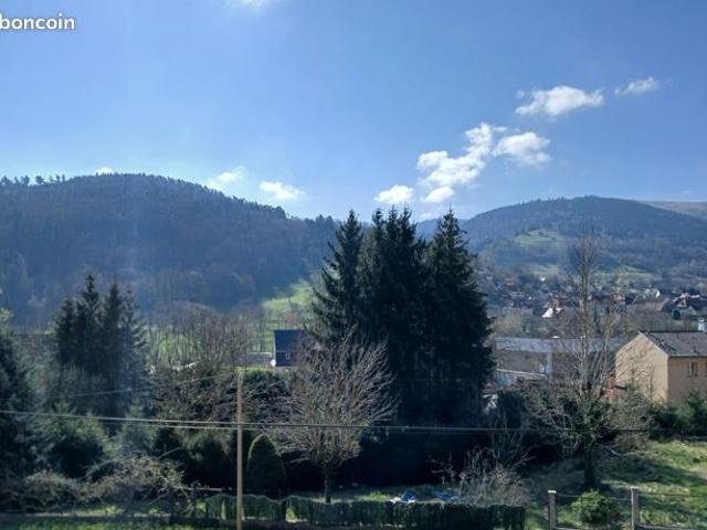 Maison vente à Colmar-Ribeauvillé, Breitenbach-haut-rhin