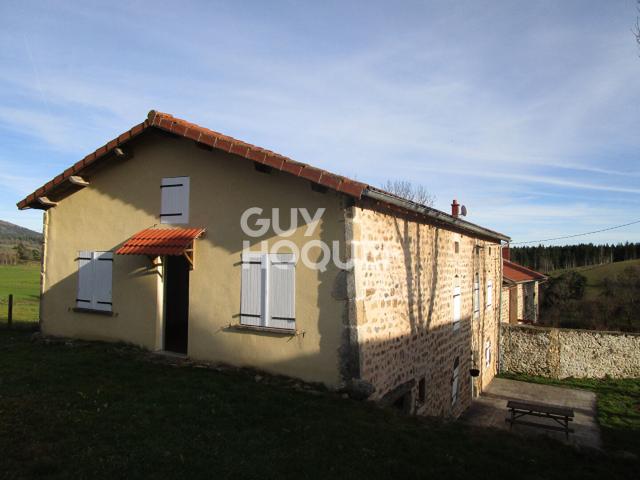 Maison vente à Le Puy-en-Velay, Allègre