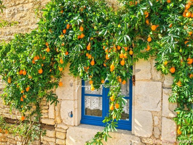 Maison vente à Saint-Sigismond, Vendée