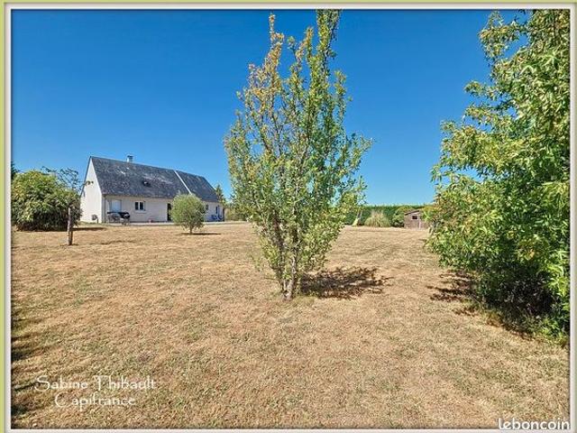 Maison vente à Chinon, Souvigné