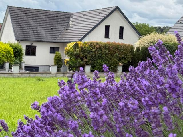 Maison vente à Mulhouse, Ranspach-le-haut