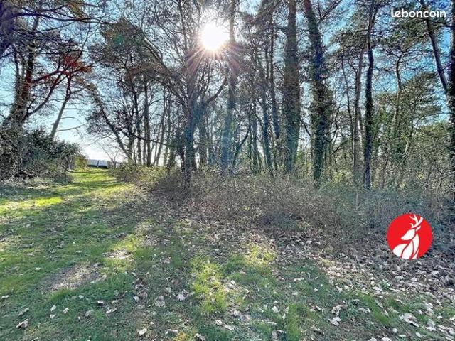 Maison vente à Fontainebleau, Achères-la-forêt