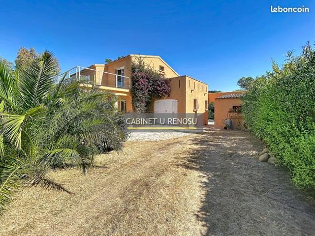 Maison vente à Sartène, Lecci