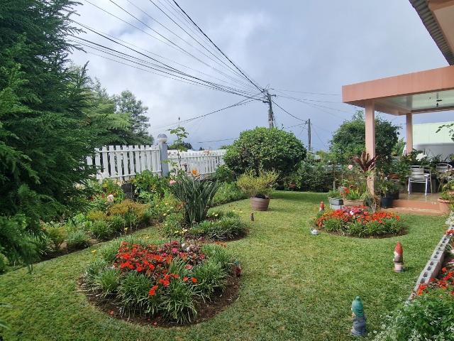 Maison vente à La Réunion