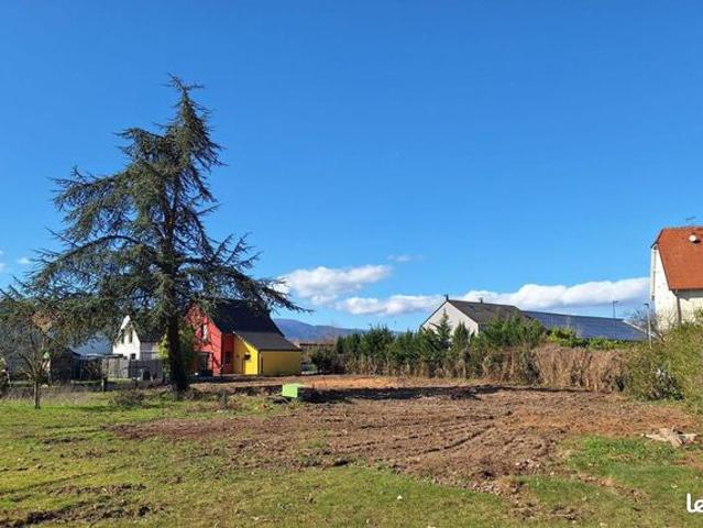Maison vente à Mulhouse, Staffelfelden