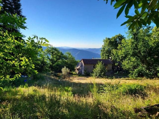 Maison vente à Florac, Le Collet-de-dèze