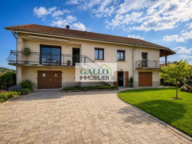 Maison vente à Vienne, Septème