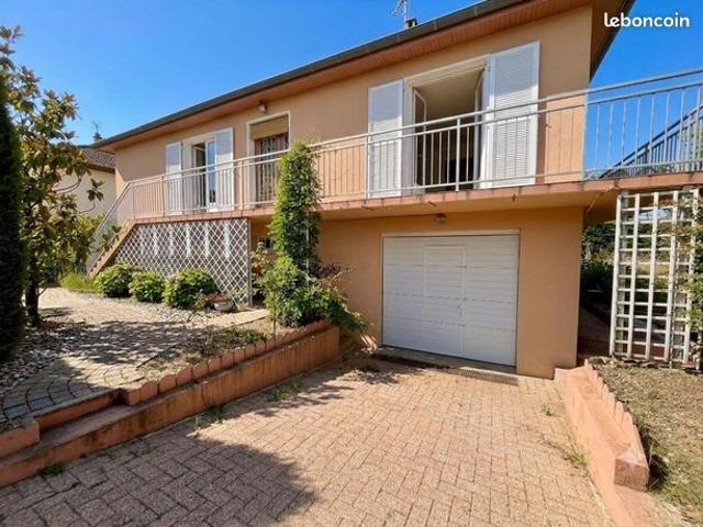 Maison vente à Lyon, Métropole de Lyon