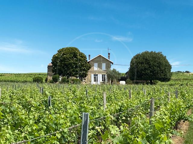 Maison vente à Libourne, Montagne