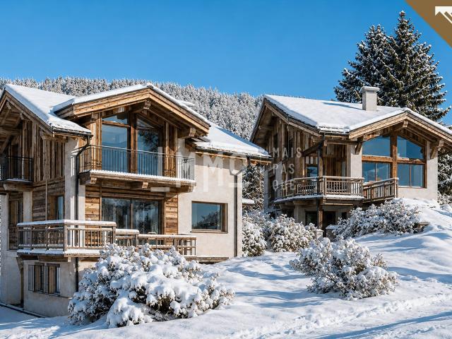 Maison vente à Moulin, Peisey-Nancroix