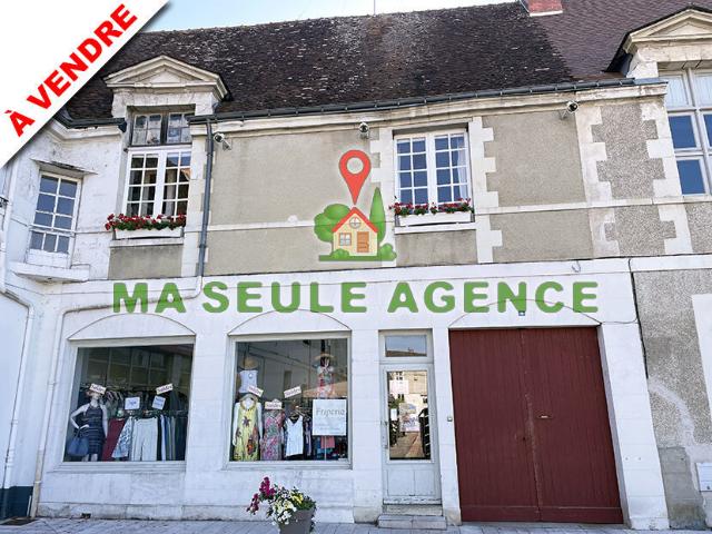 Maison vente à Chinon, Richelieu