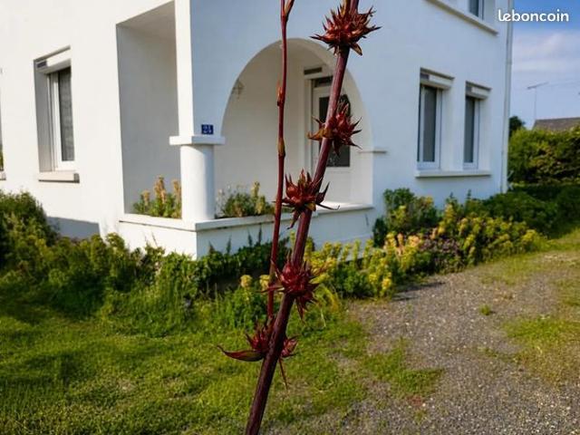 Maison vente à Saint-Nazaire, Missillac