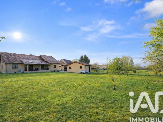 Maison vente à Saverne, Herbitzheim
