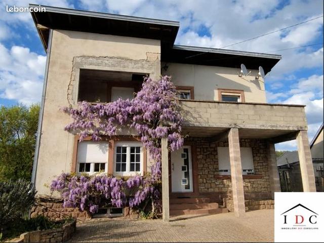 Maison vente à Sarrebourg-Château-Salins, Sarrebourg